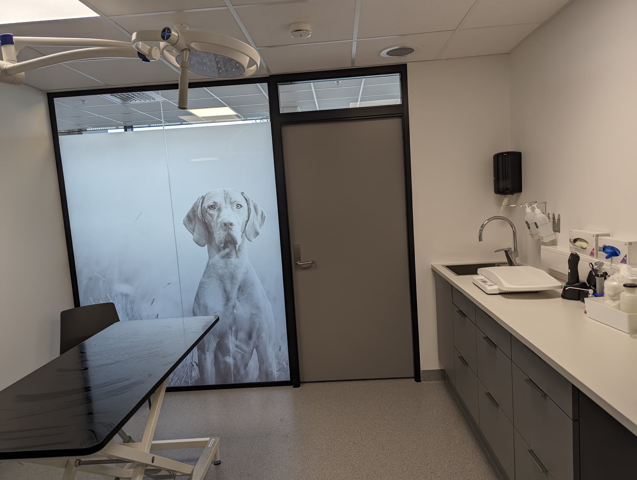 Behandlingsrom med glassvegg ved klinikken