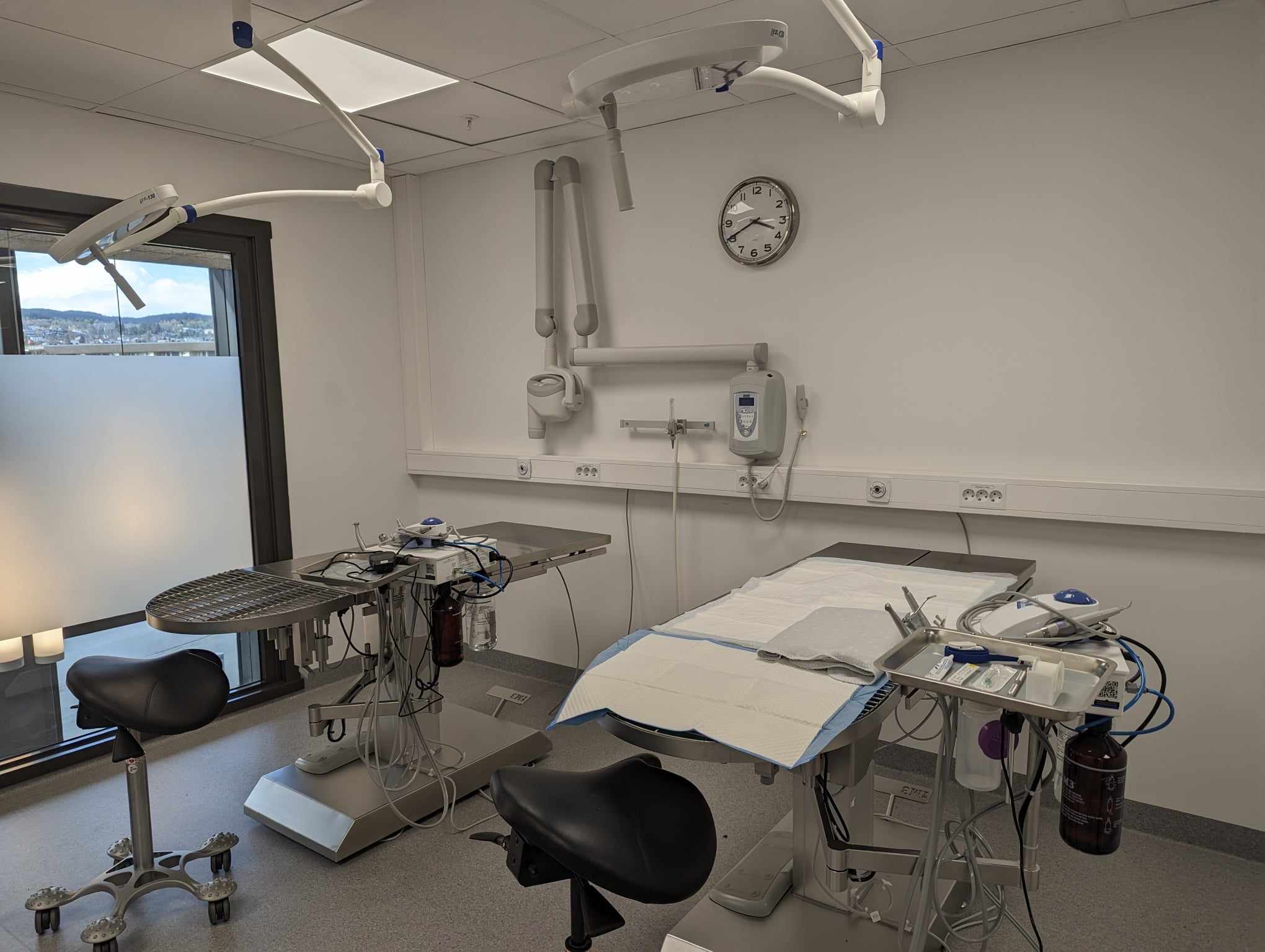 Operasjonsstua ved Strinda Smådyrklinikk