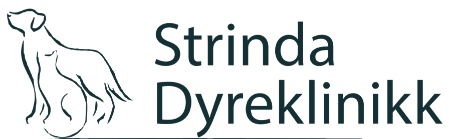 Strinda Smådyrklinikk